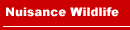 Nuisance Wildlife