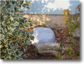 Rodent Rock Bait Station